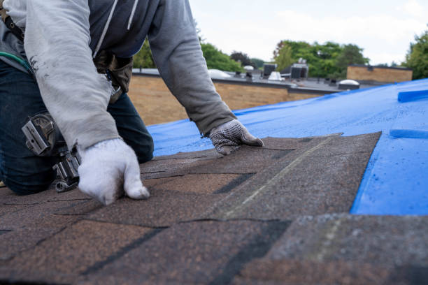 Best Roof Gutter Cleaning  in Harmony, RI